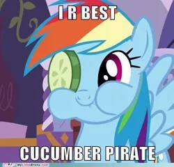 Size: 500x480 | Tagged: safe, banned from derpibooru, deleted from derpibooru, derpibooru import, rainbow dash, caption, cucumber, cucumber pirate, cute, food, image macro, text