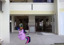 Size: 640x454 | Tagged: safe, artist:laopokia, banned from derpibooru, deleted from derpibooru, derpibooru import, twilight sparkle, pony, apartment complex, building, flower pot, furniture, hdb, irl, photo, ponies in real life, singapore, solo, vector