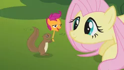 Size: 1280x720 | Tagged: safe, banned from derpibooru, deleted from derpibooru, derpibooru import, fluttershy, scootaloo, squirrel, chickun, exploitable meme, faic, flower, forced meme, meme