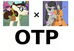 Size: 655x457 | Tagged: safe, banned from derpibooru, deleted from derpibooru, derpibooru import, gizmo, octavia melody, pony, crack shipping, exploitable meme, glasses, meme, otp, shipping, vector