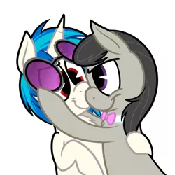 Size: 600x600 | Tagged: safe, artist:karpet-shark, banned from derpibooru, deleted from derpibooru, derpibooru import, octavia melody, vinyl scratch, chest fluff, female, lesbian, scratchtavia, shipping