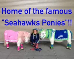 Size: 426x339 | Tagged: safe, banned from derpibooru, deleted from derpibooru, derpibooru import, human, 12th man, 12th mare, clothes, cosplay, costume, irl, irl human, photo, real pony, seattle seahawks