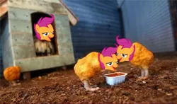 Size: 500x293 | Tagged: safe, banned from derpibooru, deleted from derpibooru, derpibooru import, scootaloo, chicken meat, chicken nugget, chickun, exploitable meme, faic, food, forced meme, meat, meme