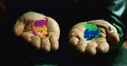 Size: 320x167 | Tagged: safe, banned from derpibooru, deleted from derpibooru, derpibooru import, scootaloo, blue pill, chickun, exploitable meme, faic, forced meme, meme, red pill, the matrix