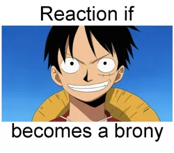 Size: 611x538 | Tagged: safe, banned from derpibooru, deleted from derpibooru, derpibooru import, brony, exploitable meme, meme, meta, monkey d luffy, one piece, reaction if, reaction if x becomes a brony, text