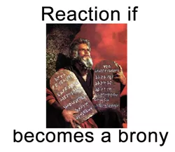 Size: 596x518 | Tagged: safe, banned from derpibooru, deleted from derpibooru, derpibooru import, bible, brony, charlton heston, christianity, exploitable meme, judaism, meme, meta, moses, reaction if, reaction if x becomes a brony, religion, ten commandments, text