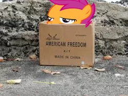 Size: 259x194 | Tagged: safe, banned from derpibooru, deleted from derpibooru, derpibooru import, scootaloo, box, chickun, exploitable meme, faic, forced meme, made in china, meme