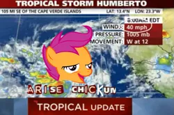 Size: 731x481 | Tagged: safe, banned from derpibooru, deleted from derpibooru, derpibooru import, scootaloo, caption, chickun, chickunberto, expand dong, exploitable meme, faic, forced meme, humberto, hurricane, hurricane humberto, image macro, meme, weather