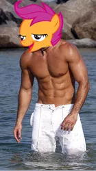 Size: 268x480 | Tagged: safe, banned from derpibooru, deleted from derpibooru, derpibooru import, scootaloo, chickun, exploitable meme, faic, forced meme, meme, william levy