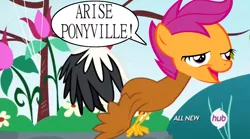 Size: 1016x565 | Tagged: safe, banned from derpibooru, deleted from derpibooru, derpibooru import, edit, scootaloo, bird, filli vanilli, arise, chat bubble, chickun, exploitable meme, faic, forced meme, hub logo, meme, rooster, solo