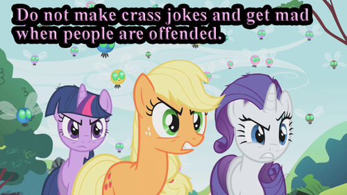 Size: 500x281 | Tagged: safe, banned from derpibooru, deleted from derpibooru, derpibooru import, applejack, rarity, twilight sparkle, parasprite, bronyetiquette, caption, image macro, text, whining