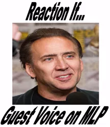 Size: 429x496 | Tagged: safe, banned from derpibooru, deleted from derpibooru, derpibooru import, exploitable meme, guest voice, meme, meta, nicolas cage, reaction if