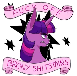 Size: 500x494 | Tagged: safe, banned from derpibooru, deleted from derpibooru, derpibooru import, twilight sparkle, alicorn, anti-brony, bait, drama, feminism, frown, glare, gritted teeth, hypocrisy, mouthpiece, oh boy here we go, solo, twilight sparkle (alicorn), vulgar
