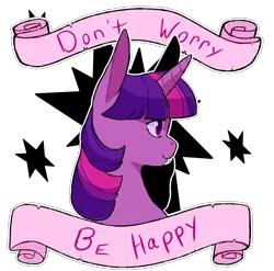 Size: 1214x1200 | Tagged: safe, artist:homoquest, artist:krucification, banned from derpibooru, deleted from derpibooru, derpibooru import, edit, twilight sparkle, old banner, solo