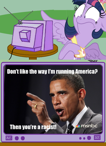 Size: 563x771 | Tagged: safe, banned from derpibooru, deleted from derpibooru, derpibooru import, twilight sparkle, alicorn, background pony strikes again, barack obama, don't be that person, exploitable meme, meme, msnbc, obligatory pony, politics, racism, tv meme, twilight sparkle (alicorn)