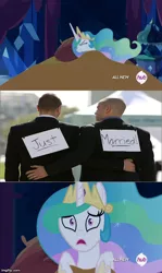 Size: 490x820 | Tagged: safe, banned from derpibooru, deleted from derpibooru, derpibooru import, princess celestia, human, background pony strikes again, celestia's nightmare, exploitable meme, gay marriage, meme