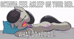 Size: 960x507 | Tagged: source needed, safe, artist:handsockz, banned from derpibooru, deleted from derpibooru, derpibooru import, octavia melody, bed, bronybait, hilarious in hindsight, meme, misspelling, open mouth, pillow, question, simple, sleeping, solo, what do