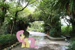 Size: 4272x2848 | Tagged: safe, artist:laopokia, artist:vladimirmacholzraum, banned from derpibooru, deleted from derpibooru, derpibooru import, fluttershy, pony, bench, cute, irl, photo, ponies in real life, solo, taipei, taiwan, tree, walkway, water, zoo