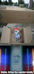 Size: 604x1289 | Tagged: safe, banned from derpibooru, deleted from derpibooru, derpibooru import, rainbow dash, fanfic:my little dashie, caption, dashie meme, exploitable meme, female, filly, good people finding dash meme, image macro, meme, mighty morphin power rangers, obligatory pony, power rangers, text, zordon