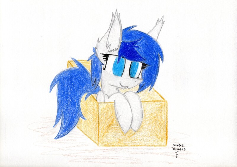 Size: 4679x3308 | Tagged: safe, artist:wingedthoughts, banned from derpibooru, deleted from derpibooru, derpibooru import, oc, oc:sapphire, unofficial characters only, box, cardboard box, cute, solo, traditional art