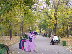 Size: 992x744 | Tagged: safe, artist:laopokia, artist:mactavish1996, banned from derpibooru, deleted from derpibooru, derpibooru import, twilight sparkle, twilight sparkle (alicorn), alicorn, human, pony, autumn, bench, irl, park, photo, ponies in real life, solo, vector, walkway
