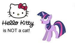 Size: 1048x604 | Tagged: safe, banned from derpibooru, deleted from derpibooru, derpibooru import, twilight sparkle, cat, hello kitty, kitty white, obligatory pony