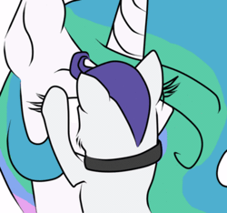 Size: 400x375 | Tagged: safe, artist:ajue, banned from derpibooru, deleted from derpibooru, derpibooru import, princess celestia, rarity, cat, animated, lettersforcelestia, species swap, tumblr, unamused