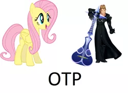 Size: 1000x724 | Tagged: safe, banned from derpibooru, deleted from derpibooru, derpibooru import, fluttershy, crossover, crossover shipping, demyx, exploitable meme, kingdom hearts, meme, otp, shipping
