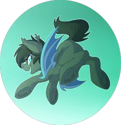 Size: 748x776 | Tagged: safe, artist:blitzpony, artist:thegamblehorse, banned from derpibooru, deleted from derpibooru, derpibooru import, oc, oc:seachell, unofficial characters only, bat pony, pony, bat pony oc, bat wings, simple background, solo, transparent background, underhoof, wings