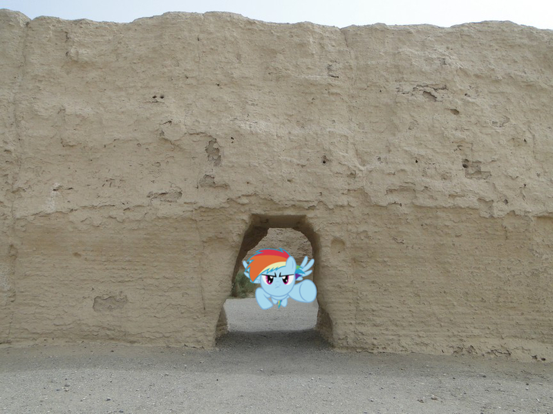 Size: 864x648 | Tagged: safe, artist:birthofthepheonix, artist:laopokia, banned from derpibooru, deleted from derpibooru, derpibooru import, rainbow dash, pony, china, filly dash, flying, irl, passage, photo, ponies in real life, solo, vector, wall