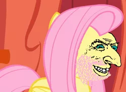 Size: 978x720 | Tagged: safe, banned from derpibooru, deleted from derpibooru, derpibooru import, edit, edited screencap, screencap, fluttershy, pegasus, antisemitism, female, jew, le happy merchant, mare, meme, out of character, racism, shitposting