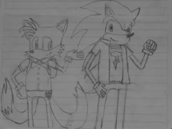 Size: 1024x768 | Tagged: safe, artist:brandonale, banned from derpibooru, deleted from derpibooru, derpibooru import, rainbow dash, twilight sparkle, equestria girls, clothes, cosplay, costume, crossover, image, jpeg, miles "tails" prower, photo, sonic the hedgehog, sonic the hedgehog (series), traditional art
