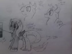Size: 1024x768 | Tagged: safe, artist:pokeman-114, banned from derpibooru, deleted from derpibooru, derpibooru import, oc, unofficial characters only, dracony, dragon, hybrid, pony, monochrome, traditional art