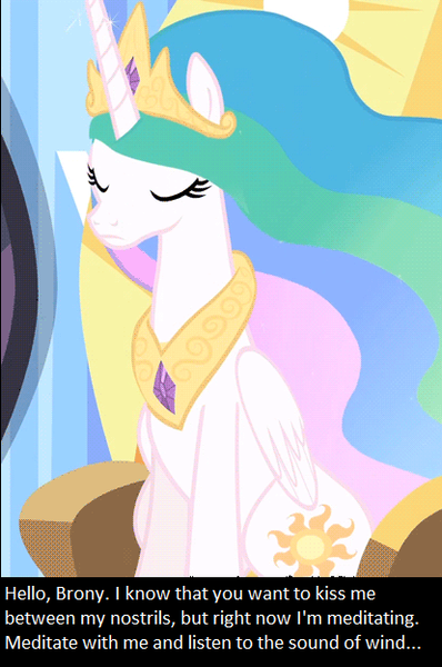 Size: 414x624 | Tagged: safe, banned from derpibooru, deleted from derpibooru, derpibooru import, screencap, princess celestia, oc, oc:anon, bronybait, caption, double nostrils, eyes closed, frown, image macro, meditating, meditation, meme, meta, nostril fetish, sitting, solo, text