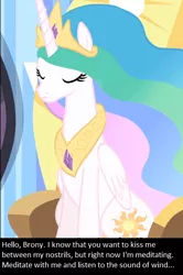 Size: 414x624 | Tagged: safe, banned from derpibooru, deleted from derpibooru, derpibooru import, screencap, princess celestia, oc, oc:anon, bronybait, caption, double nostrils, eyes closed, frown, image macro, meditating, meditation, meme, meta, nostril fetish, sitting, solo, text