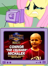 Size: 563x771 | Tagged: safe, banned from derpibooru, deleted from derpibooru, derpibooru import, fluttershy, connor "the crusher" michalek, exploitable meme, fluttercry, hall of fame, meme, obligatory pony, tv meme, warrior award, wwe