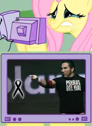 Size: 563x771 | Tagged: safe, banned from derpibooru, deleted from derpibooru, derpibooru import, fluttershy, exploitable meme, fluttercry, hijo del perro aguayo, luchador, lucha libre, meme, mexico, obligatory pony, rest in peace, sports, tv meme, wrestling