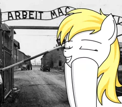 Size: 2000x1750 | Tagged: safe, artist:gsuus, banned from derpibooru, deleted from derpibooru, derpibooru import, oc, oc:aryanne, arbeit macht frei, auschwitz, black and white, eyes closed, face, fascism, feels good, germany, grayscale, happy, holocaust, meme, monochrome, nazi, pleased, reaction image, remove kebab, stroking, touching face, world war ii