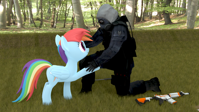 Size: 1920x1080 | Tagged: safe, artist:llimuc, banned from derpibooru, deleted from derpibooru, derpibooru import, rainbow dash, 3d, blender, counter strike, counter-strike: global offensive, crossover