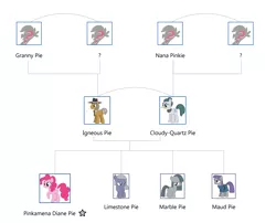 Size: 2649x2141 | Tagged: safe, banned from derpibooru, deleted from derpibooru, derpibooru import, cloudy quartz, granny pie, igneous rock pie, limestone pie, marble pie, maud pie, nana pinkie, pinkie pie, family tree, headcanon, speculation