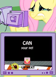 Size: 563x771 | Tagged: safe, banned from derpibooru, deleted from derpibooru, derpibooru import, fluttershy, can your pet, crying, exploitable meme, fluttercry, image, inappropriate timing spongebob banner, meme, obligatory pony, png, spongebob laughs at your misery, spongebob squarepants, spongebob squarepants (character), tv meme, video game