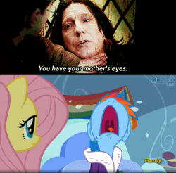 Size: 500x491 | Tagged: grimdark, banned from derpibooru, deleted from derpibooru, derpibooru import, edit, screencap, fluttershy, rainbow dash, tanks for the memories, blood, crying, death, exploitable meme, harry potter, harry potter and the deathly hallows, meme, obligatory pony, severus snape, time to say goodbye dash