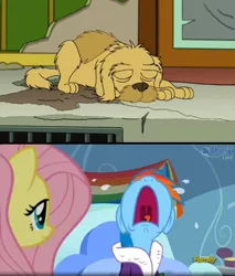 Size: 600x704 | Tagged: semi-grimdark, banned from derpibooru, deleted from derpibooru, derpibooru import, edit, screencap, fluttershy, rainbow dash, dog, tanks for the memories, crying, death, exploitable meme, feels, futurama, implied death, meme, obligatory pony, seymour, time to say goodbye dash