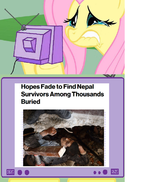 Size: 899x1024 | Tagged: grimdark, questionable, banned from derpibooru, deleted from derpibooru, derpibooru import, fluttershy, crying, earthquake, exploitable meme, meme, nepal, obligatory pony, sad, too soon, tragedy, tv meme