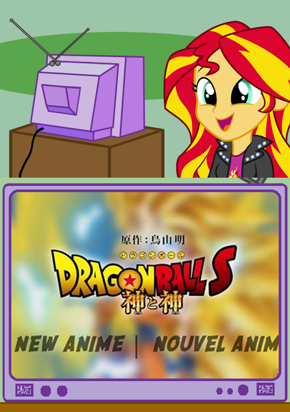 Size: 564x800 | Tagged: safe, banned from derpibooru, deleted from derpibooru, derpibooru import, sunset shimmer, equestria girls, dragon ball, dragon ball s, dragon ball z, exploitable meme, meme, obligatory pony, tv meme