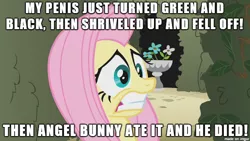 Size: 610x343 | Tagged: suggestive, banned from derpibooru, deleted from derpibooru, derpibooru import, screencap, angel bunny, fluttershy, background pony strikes again, caption, image macro, implied futa, meme, shitposting, text, too much information, wat