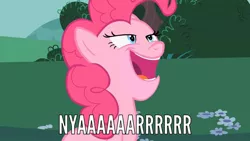 Size: 1280x720 | Tagged: safe, banned from derpibooru, deleted from derpibooru, derpibooru import, screencap, pinkie pie, caption, image macro, meme, solo, text