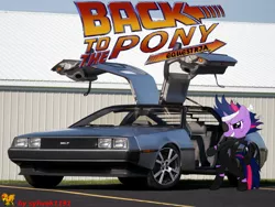 Size: 2048x1536 | Tagged: safe, artist:sylwek1191, banned from derpibooru, deleted from derpibooru, derpibooru import, twilight sparkle, it's about time, back to the future, car, delorean, dmc, obligatory pony