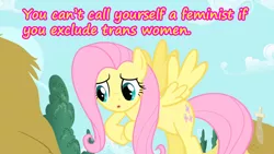 Size: 640x360 | Tagged: safe, banned from derpibooru, deleted from derpibooru, derpibooru import, screencap, fluttershy, feminism, feminism is magic, mouthpiece, text