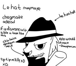 Size: 800x700 | Tagged: safe, banned from derpibooru, deleted from derpibooru, derpibooru import, sourpuss, fedora, fedora shaming, hat, meme